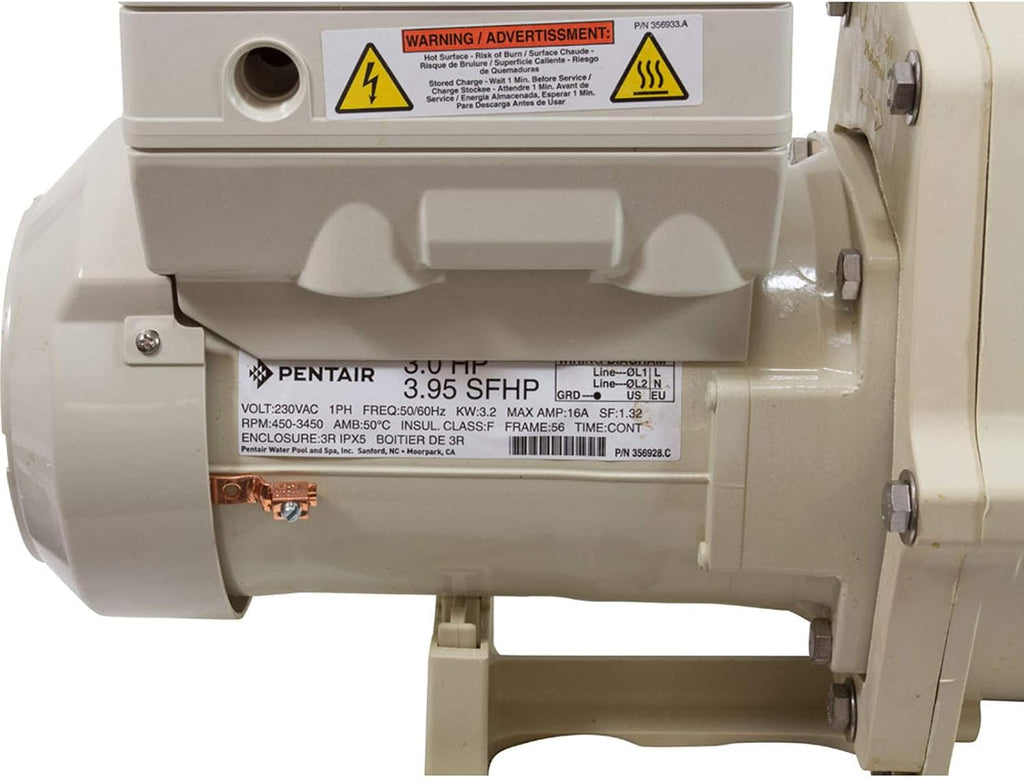 Pentair 011028 Intelliflo VS Pool Pump, Almond
